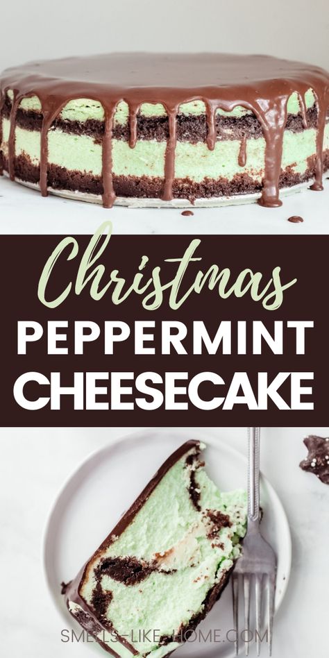 Peppermint Cheesecake is a perfect dessert for Christmas. It has a beautiful green color and a delicious mint flavor. It has a chocolate cookie crust and a silky ganache that make and amazing minty dessert! Mint Christmas Desserts, Green Christmas Desserts, Christmas Dessert Ideas Cheesecake, Cheesecake Christmas Holiday Desserts, Cheesecake Types, Christmas Cheesecake Ideas, Winter Cheesecake, Grasshopper Cheesecake, Andes Mint Cheesecake