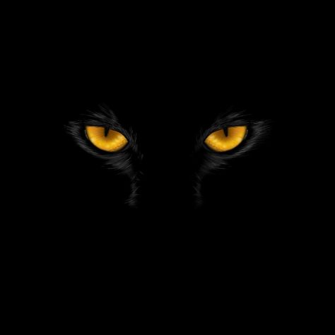 Panther Eyes, Art Desktop Wallpaper, Anime Swords, Flower Desktop Wallpaper, Lion Artwork, Oneplus Wallpapers, Alphabet Photos, Eyes Art, Eyes Wallpaper