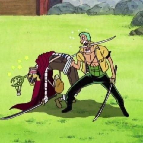 Zoro And Usopp, Zoro Nami, One Piece Funny, Zoro One Piece, Solo Pics, One Piece Luffy, One Piece Anime, Funny Faces, Me Me Me Anime