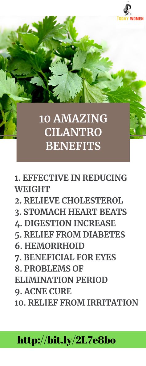 Do you know how Cilantro benefits to our health, If you are not consuming in day to day life then you will start from today after reading it. Cilantro Tincture Benefits, Cilantro Tincture, Herbal Tinctures Recipes, Cilantro Benefits, Herb Tips, Tinctures Recipes, Fennel Tea, Tea Health, Vegetable Benefits