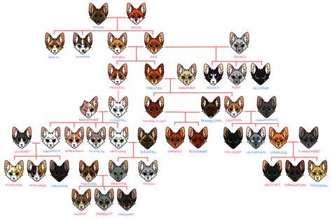 The Official Canon Warriors Cat Family Tree (as of A Vision of Shadows Arc) Warrior Cats Family Tree, Cat Age Chart, Warrior Inspiration, Warrior Cats Clans, Warrior Cat Names, Cat Website, Warrior Cats Funny, Warrior Cat Memes, Warrior Cats Comics