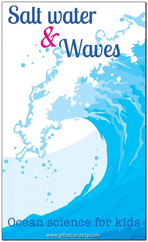 Learning about ocean salt water and waves | Ocean science activities for kids || Gift of Curiosity Ocean Science Activities, Preschool Ocean Theme, Ocean Preschool, Ocean Lesson Plans, Density Experiment, Preschool Ocean, Ocean Zones, Stem Camp, Science Earth