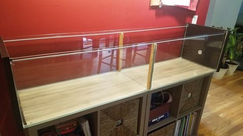 Create a cheap and huge gerbil cage from the IKEA DETOLF glass cabinet Ikea Detolf, Diy Rabbit Cage, Gerbil Cages, Mouse Cage, Glass Display Cabinet, Diy Storage Rack, Hamster Cages, Reptile Cage, Small Animal Cage