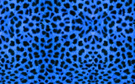 Blue Leopard Print Wallpaper, Cheetah Print Background, Blue Cheetah Print, Leopard Print Background, Leopard Print Wallpaper, Cheetah Print Wallpaper, Cheetah Top, Animal Print Background, Free Live Wallpapers