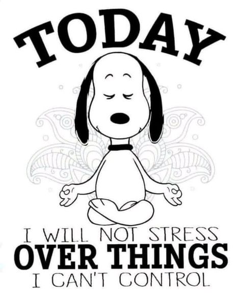 🤍 Ge Aldrig Upp, Peanuts Quotes, Charlie Brown Quotes, Snoopy Funny, Snoopy Images, Snoopy Wallpaper, Snoopy Quotes, Snoopy Pictures, Snoopy Love