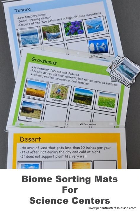 Download these sorting mats to help your students review animals, plants and vocabulary from 7 different biomes. Biomes Activities, Butter Fish, Homeschool Science Experiments, Science Unit Studies, Science Centers, Sorting Mats, 5th Grade Science, Science Activities For Kids, Science Units