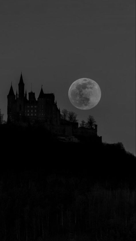 Gothic Castle Aesthetic, Dark Academia Widget, Learn More About Yourself, Dark Forest Aesthetic, Dark Castle, Gothic Castle, Black Castle, Castle Aesthetic, Gothic Wallpaper