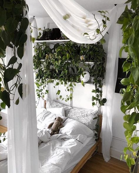 Canopy bed with plants Bedroom Plants Decor, White Linens, Bohemian Bedroom Decor, Bedroom Plants, Aesthetic Rooms, Room With Plants, Canopy Bed, Simple Bedroom, Room Inspiration Bedroom