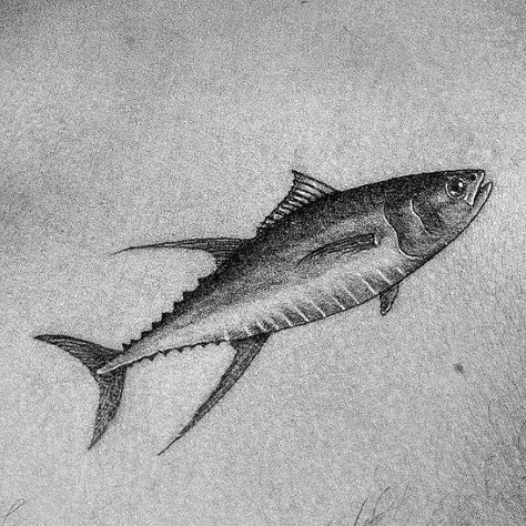 Yellowfin Tuna Tattoo, Small Fish Tattoos For Men, Sea Life Tattoos Men, Bluefin Tuna Tattoo, Ocean Tattoo Men, Cool Fish Tattoo, Tuna Fish Tattoo, Fish Tattoos For Men, Wale Tattoos