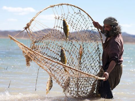 FreeBibleimages :: Sea of Galilee: Fish and fishing nets :: Background information on fish and fishing in the Sea of Galilee in the time of the Gospels (Bible overview) Lifestyle Photography Food, Figure Drawing Practice, Ancient Fish, Bible Overview, The Sea Of Galilee, Image Of Fish, Cast Nets, Gospel Bible, Matthew 4