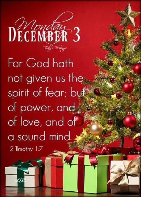 December 2 Bible Verse, December 3 Blessings, December 2 Blessings, December Prayers, December Countdown, Christmas Scriptures, Hello December Images, Happy Morning Images, December Blessings