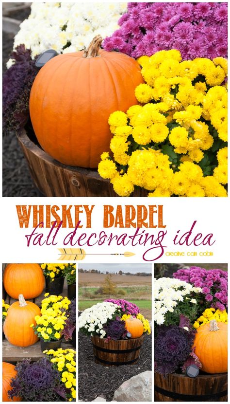 Whiskey Barrel Decorate For Fall Using Mums, Pumpkins, and Kale with a Small Solar Landscape Light to Show it All Off at Night Iphone Wallpaper Rustic, Whiskey Barrel Planter, Wine Barrel Planter, Mums In Pumpkins, Fall Yard Decor, Fall Landscaping, Decorate For Fall, Fall Mums, Solar Landscape Lighting