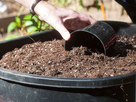 How to Reuse Plastic Gardening Pots Protecting Plants From Frost, Frost Protection For Plants, Gardening Pots, Fall Container Gardens, Potato Vines, Vegetable Garden Planning, Plastic Plant Pots, Front Yard Garden Design, Shade Flowers