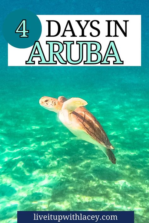 Things To Do In Aruba, Tortola British Virgin Islands, Aruba Vacation, Visit Aruba, Aesthetic Tropical, Island Aesthetic, Travel Island, Aruba Travel, Vacation Itinerary