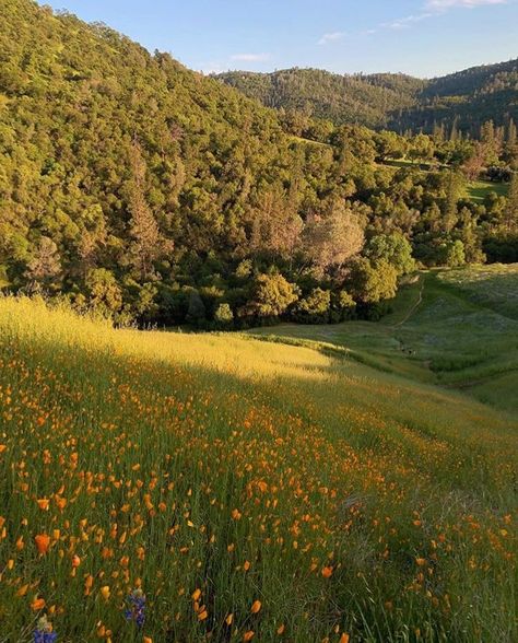 Open Field, Nature Aesthetic, Pretty Places, Country Life, Farm Life, Nature Pictures, Pretty Pictures, Beautiful World, Mother Nature