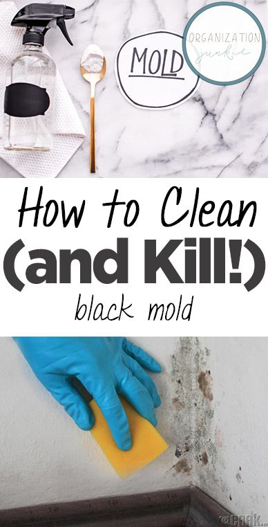 Kill Black Mold, Clean Black Mold, Black Mold, Mold In Bathroom, Cleaning Mold, Diy Cleaning Solution, Homemade Cleaning Solutions, Diy Cleaning Hacks, Homemade Cleaning Products