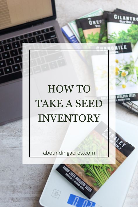 Step-by-step guide on how to take a seed inventory before gardening season. A seed inventory will save you time and money! Seed Inventory, Seed Catalogs, Gardening Books, Seasonal Garden, Excel Spreadsheets, Seed Packets, Previous Year, How To Take, Save You