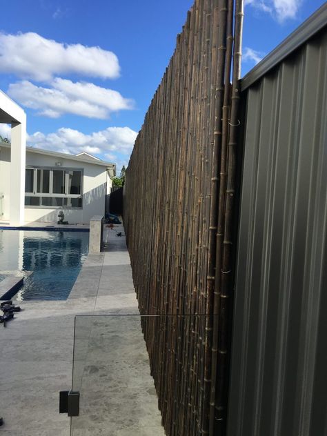 Bamboo Screening Fence, Colorbond Fence, Modern Landscape Design Front Yard, Fence House, Sydney House, Bamboo Privacy, Bamboo Screening, Home Exteriors, Screen Outdoor