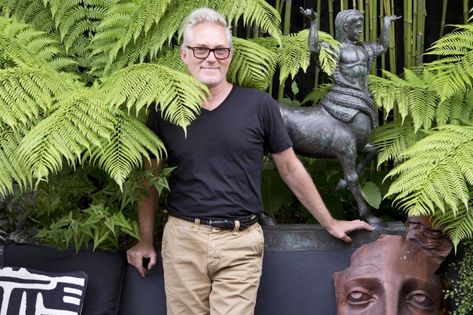 The jungle look has never been hotter: turn your small urban garden into an exotic oasis with tropical tree ferns and bold-leaved bananas | Homes and Property | Evening Standard Small Tropical Garden Ideas Uk, Small Jungle Garden Ideas, Garden Border Plants, Walled Courtyard Garden, Australian Tree Fern, Garden Ideas Uk, Small Tropical Gardens, Small Urban Garden, Small City Garden