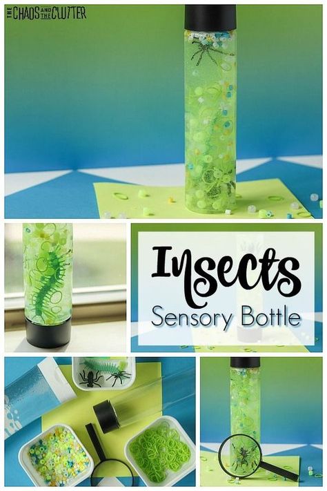 Insect Sensory, Sensory Bottles For Toddlers, Glitter Sensory Bottles, Play With Kids, Calm Down Bottle, Discovery Bottles, Insect Activities, Sensory Bottle, Sensory Bags