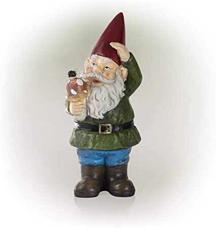 Garden Gnome Holding Mushroom Mythical Powers, Magical Yard, Gnome With Mushroom, Yard Gnomes, Solar Garden Stakes, Fiber Optic Lighting, Garden Gnomes Statue, Statue Decoration, Gnome Statues