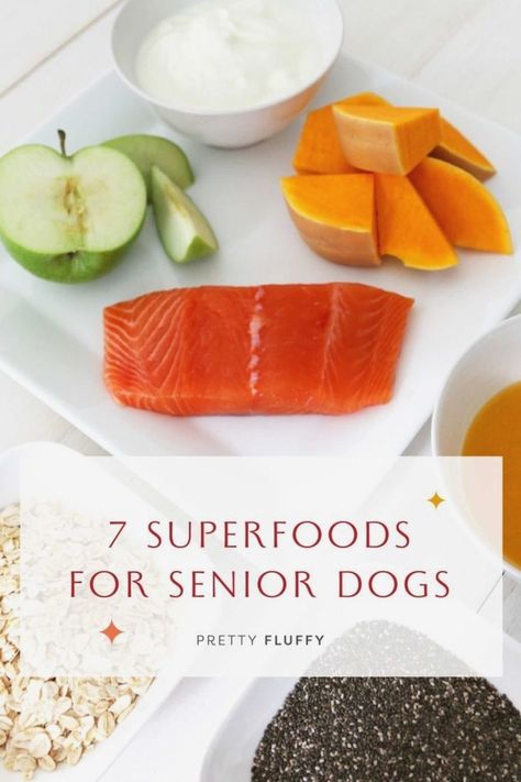 List Of Superfoods, Senior Dog Food, Senior Dog Care, Senior Dogs Care, Super Foods List, Senior Dog Food Recipes, Pet Nutrition, Fluffy Dog, Dog Birthday Cake