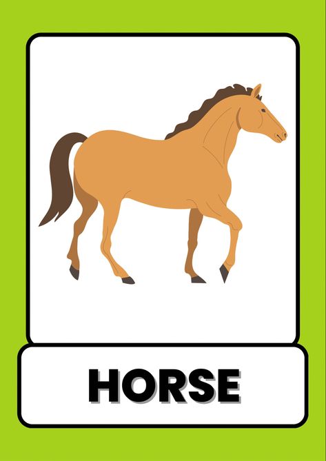 animals flash card, animals flash cards, farm animals flash card, animals flash cards pdf, wild animals flashcards, zoo animal flashcards, animals flashcards pdf, animals flashcards printable, animals flashcards free printable, flashcards of animals, flash cards or flashcards Physical Education Lessons, Different Types Of Animals, Abc Flashcards, Animal Flashcards, Kids Animals, Learning English For Kids, Learn New Things, Flashcards For Kids, Kids English