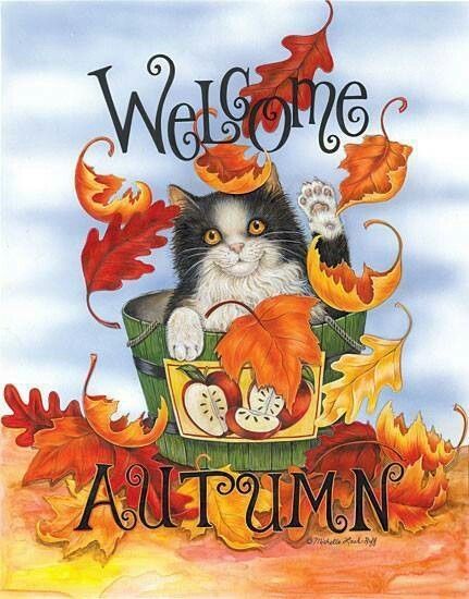 Free! Gif, Fall Cats, First Day Of Autumn, Autumn Scenes, Welcome Fall, Happy Fall Y'all, Autumn Beauty, Fall Pictures, Autumn Garden