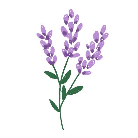 Flower Plant Sticker for iOS & Android | GIPHY Gif Flowers Art, Purple Flowers Gif, Lilac Gif, What To Plant With Lavender, Plants Gif, Plant With Lavender, Notion Setup, Best Companion Plants, Summer Embroidery