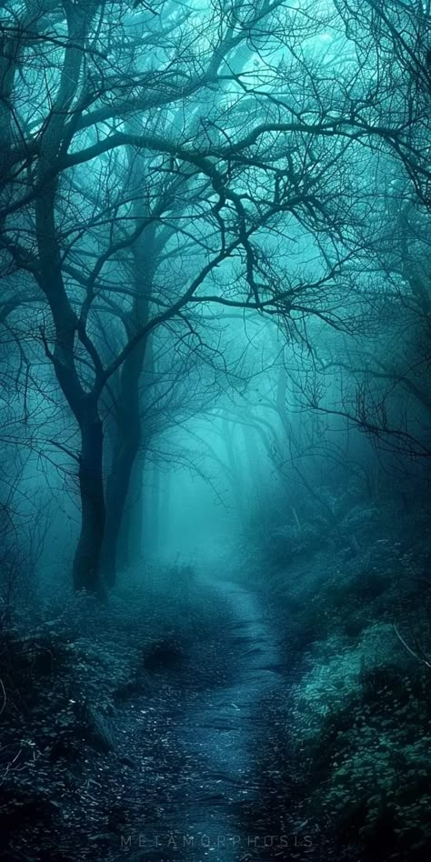 Emo Poetry, Night Landscape Photography, Dark Forest Aesthetic, Dark Landscape, Pretty Backgrounds, Mystical Forest, Night Scenery, Fantasy Places, Forest Photography