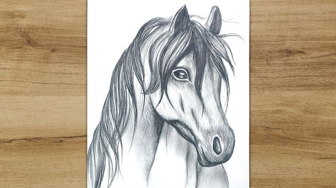 Today I want to show you how to draw a realistic horse head. #Horse_Head_Drawing​ #how_to_draw_a_horse​ Draw A Horse Head, Head Step By Step, Horse Drawing Tutorial, Horse Head Drawing, Draw A Horse, Dog Drawing Tutorial, Drawing Horses, Step By Step Sketches, Realistic Animal Drawings