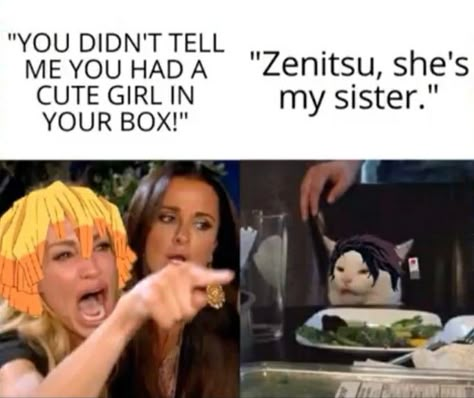 Anime Bebe, Hee Man, Hxh Characters, Slayer Meme, Anime Jokes, Anime Memes Funny, Anime Meme, Dragon Slayer, Anime Life