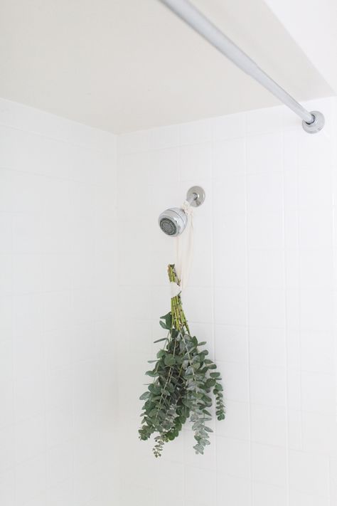 How to Hang Eucalyptus in the Shower: A Simple Guide Eucalyptus In Shower Bathroom, Eucalyptus In The Shower, Bathroom Finds, Floral Arranging, Shower Bathroom, Beauty Finds, How To Hang, Bathroom Spa, Beautiful Flower Arrangements