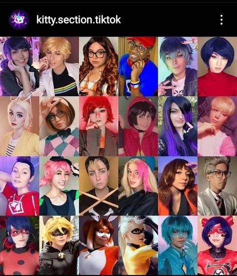 IG: @kitty.section.tiktok Kitty Section Miraculous, Cat Noir, Magical Girl, Miraculous Ladybug, Mlb, Kitty, Art