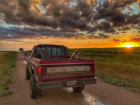 Farm Truck Aesthetic, Old Country Aesthetic, Western America, Old Ford Truck, Vintage Pickup, Vintage Pickup Trucks, Old Ford Trucks, Old Truck, Jacked Up Trucks