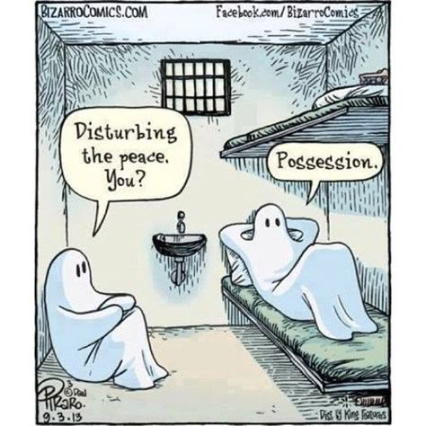 Ghost in The Cell Ghost Jokes, Hilarious Comics, Lawyer Humor, Therapy Humor, Halloween Humor, Halloween Jokes, Funny P, Meme Page, Funny Feelings