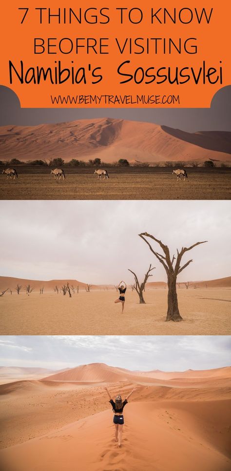 Here are 7 things you need to know before visiting Sossusvlei, Namibia. Essential information such as the best places to go, best time to visit, and accommodation guide included. Check it out! #Sossusvlei #Namibia #Africa Sossusvlei Namibia, Africa Itinerary, Namibia Travel, Africa Travel Guide, Namibia Africa, Africa Trip, Beautiful Countries, Africa Destinations, Travel Africa