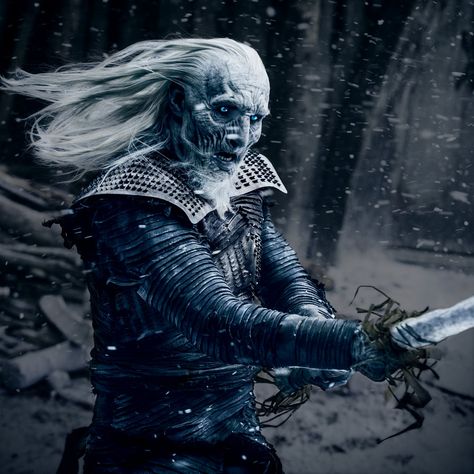 White Walker by HarleyQuinn645 on @DeviantArt Walker Wallpaper, Game Of Thrones Prequel, Georgie Henley, Crimes Of Grindelwald, White Walker, Hbo Game Of Thrones, Got Memes, Jaime Lannister, Night King