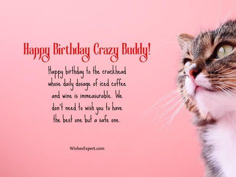 Best Birthday Wishes for Crazy Friend Birthday Wishes For Crazy Friend, Happy Birthday Crazy Friend, Happy Birthday Crazy, Birthday Paragraph, Today Is Your Birthday, Friend Birthday Card, Crazy Best Friends, Friend Birthday Quotes, Birthday Wishes Funny