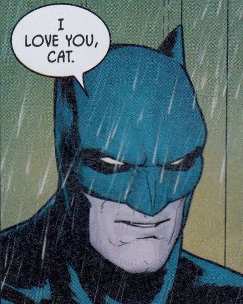 Batman Comics Panels, Batman Comic Funny, Batman Aesthetic Comic, Batcat Aesthetic, Literally Me Characters Icon, Funny Batman Pictures, Batman Comic Panels, The Bat And The Cat, Cat Batman