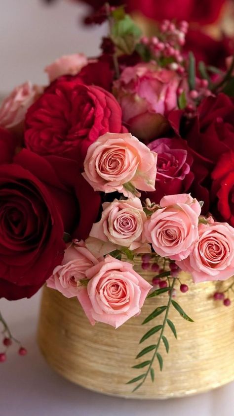 Love Rose Flower, Rose Gardens, Rose Flower Pictures, Rose Flower Wallpaper, Lovely Flowers Wallpaper, Bouquet Arrangements, Beautiful Bouquet Of Flowers, Beautiful Flower Arrangements, Beautiful Flowers Pictures