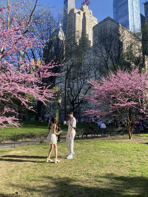 New york, central park, couple Pink New York Aesthetic, Central Park Couple, Central Park Aesthetic, Pinterest Background, Nyc Central Park, New York Central Park, Pink New York, Urban Beauty, Nyc Park