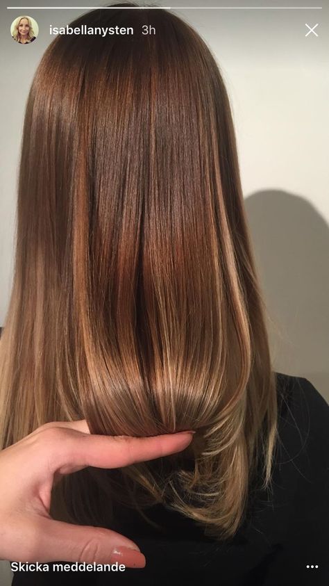 Chai Tea Hair Color, Honey Auburn Hair Golden Brown, Caramel Glaze Hair, Cinnamon Cookie Butter Hair, Brown Hair 2024 Trends, Bronze Highlights On Brown Hair, Golden Chestnut Hair, Baby Lights Miel, Warm Golden Brown Hair