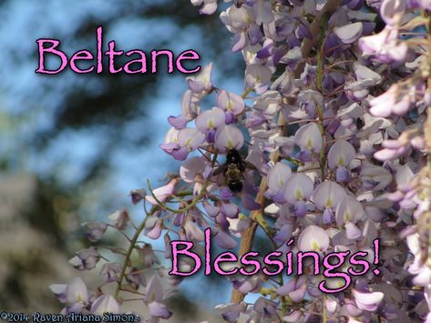 Happy Beltane Quotes, Blessed Beltane, Happy Beltane, Beltane Blessings, Pagan Magic, Green Witchcraft, Outdoors Tattoo, Architecture Quotes, May 1st