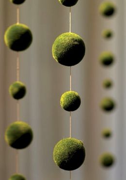 moss Kokedama Plants, Enchanted Forest Party, String Garden, Expensive Wedding, Moss Decor, Moss Ball, Cheap Stuff, Forest Party, Ball Garland