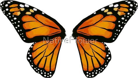 Monarch Wings Drawing, Monarch Butterfly Wing Tattoo, Butterfly Movement Drawing, Butterfly Wings Drawing, Mural Butterfly, Motorcycle Reference, Butterfly Wing Pattern, 3d Art Museum, Butterfly Wing Tattoo