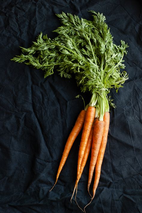 Carrots / esp. Zanahoria (R1). Fresh spring carrots that are sweet and crunchy. Family: roots. Raw carrots save vitamin C, while cooked have more antioxidants though looses some enzymes and vitamins, juicing allows to get all the beta carotene, though loose the fiber. So carrot should be consumed both raw, cooked and juiced. 100g: vitamin A - 334%. Carrots Photography, Carrot Photography, Still Life Food Photography, Food Art Photography, Veggie Delight, Beef Cattle, Eat To Live, Food Photography Styling, Cooking Ingredients