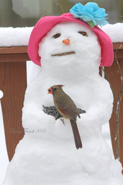 bird feeder snow lady--this looks like it was made in a patio pot.  cute pictures of other birds and even a squirrel eating the    seeds Snowman Ideas, Funny Snowman, Rock River, Snow Activities, Snow Sculptures, Winter Schnee, Snow People, Snow Art, Snow Fun