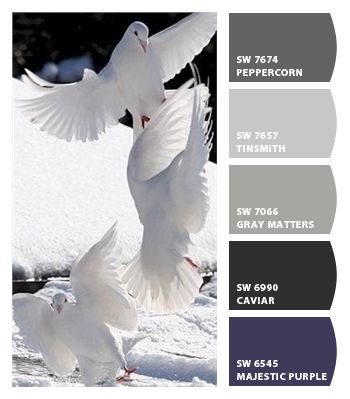 Paint colors from Chip It! by Sherwin-Williams Peppercorn Paint Color Pallet, Peppercorn Paint Color, Peppercorn Paint, Grizzle Gray, Paint Color Pallets, Sherwin Williams Gray, Sherwin Williams Colors, Sherwin Williams Paint Colors, Iron Ore