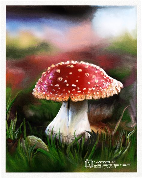 pastel #realistic #mushroom #flyagaric #art #digital #painting - my #hobby #artlover #procreate #artwork Realistic Mushroom, Procreate Artwork, Food Drawings, Food Drawing, Digital Painting, Art Digital, Pastel, Drawings, Art